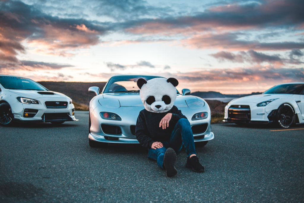 Mustang Panda Hacker SIBER